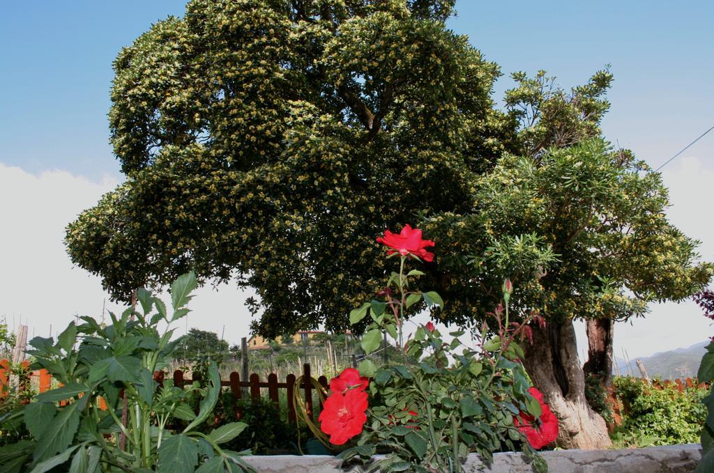 Ca De Pria Bed and Breakfast Casarza Ligure Εξωτερικό φωτογραφία