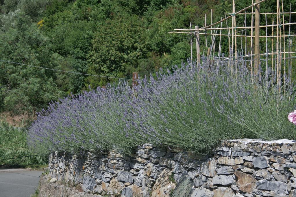 Ca De Pria Bed and Breakfast Casarza Ligure Εξωτερικό φωτογραφία