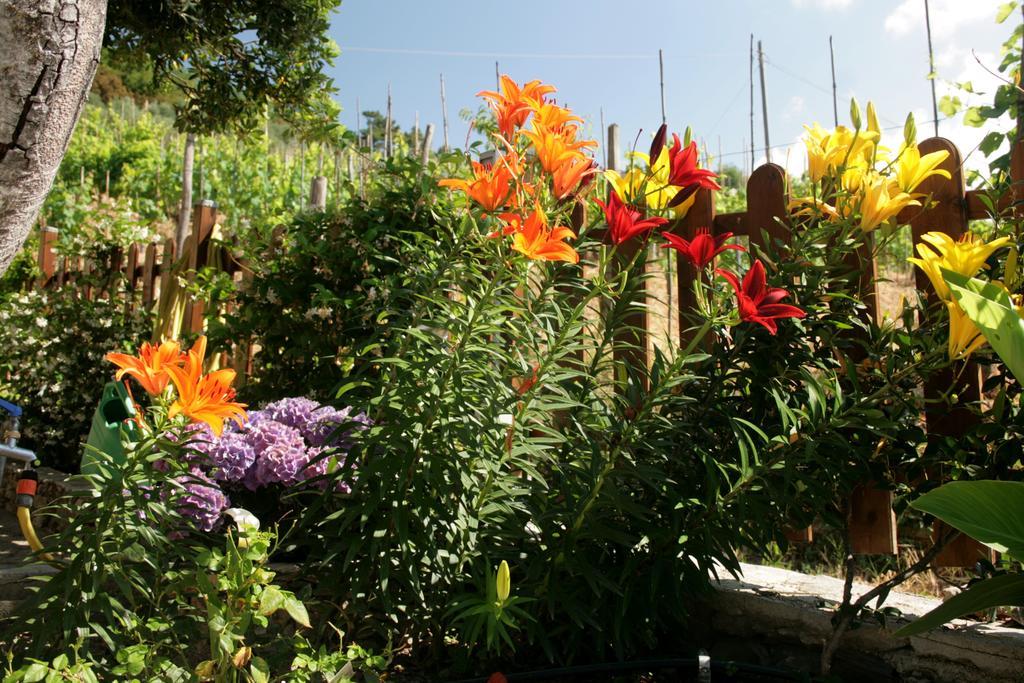 Ca De Pria Bed and Breakfast Casarza Ligure Εξωτερικό φωτογραφία