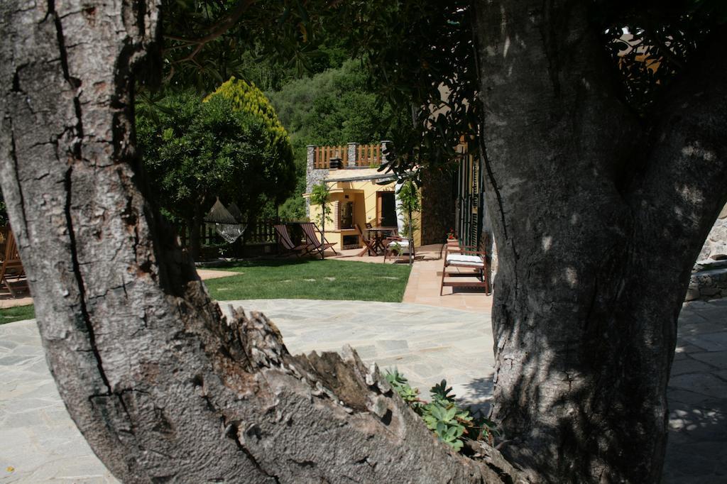 Ca De Pria Bed and Breakfast Casarza Ligure Εξωτερικό φωτογραφία